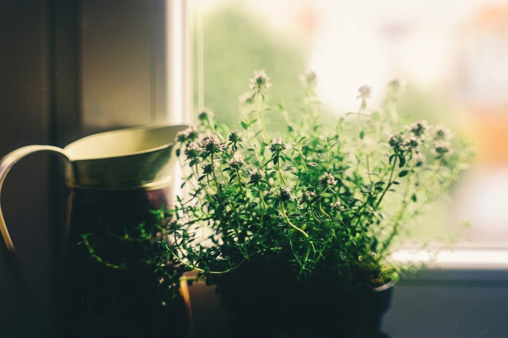 Exploring the Spiritual Meaning of Sunday
